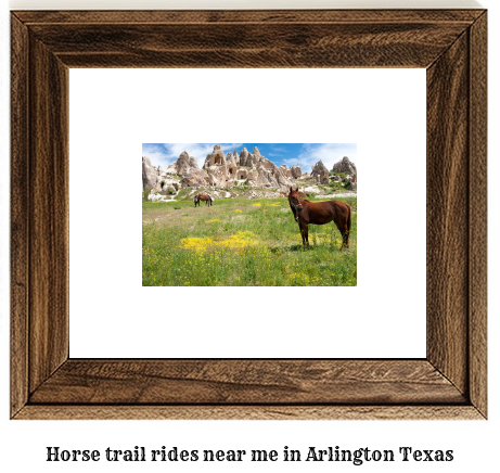 horse trail rides near me in Arlington, Texas